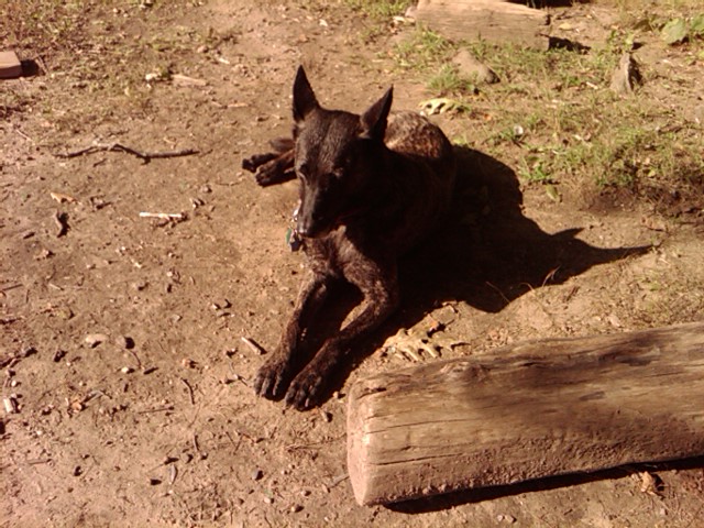 Thalie enjoying the sun after playing in the water