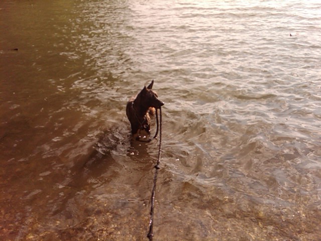 Sadie