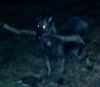img20150125_115229.jpg