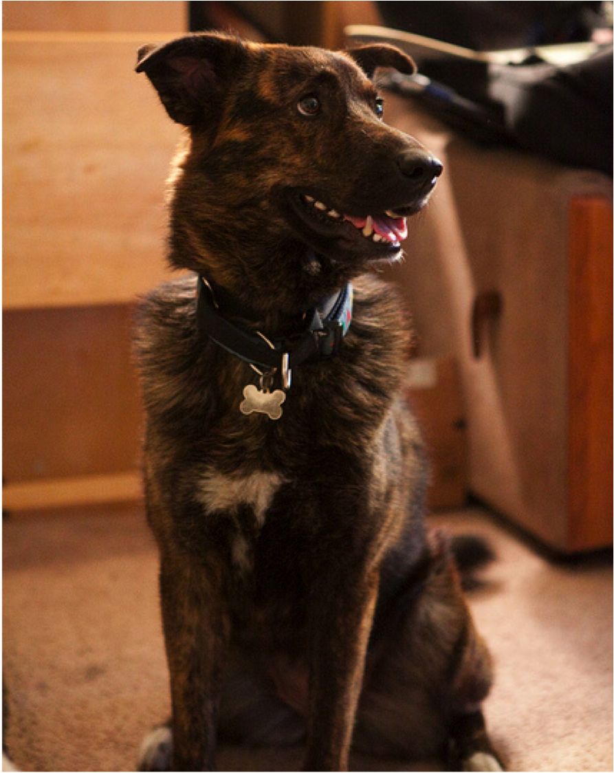 This is when she first came home to stay with me = )
