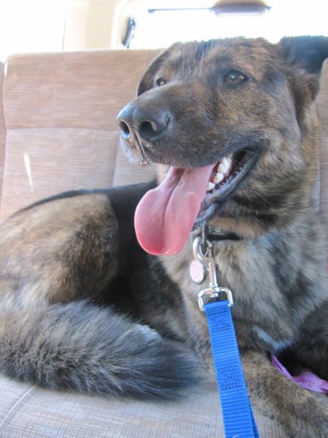 ..and this is just hangin out in the car = )
