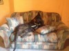 image.jpg (99.51 KiB) Viewed 6001 times Stop growinggggg!