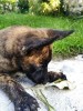 FB_IMG_1435808599211.jpg