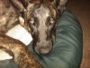 IMG00869-20120428-2008.jpg