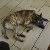 Tired out!