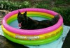 img20150723_210021.jpg