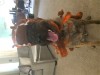 IMG_0298-resized.JPG