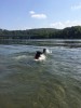 swimming2.jpg