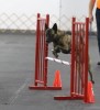 trial_r107.jpg