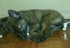 img20160125_233733.jpg