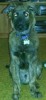 img20160125_233859.jpg