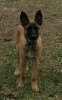 20160225_170139-1-1-1200x1948.jpg
