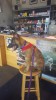 Grendel circus dog pretraining.jpg