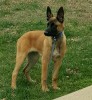 20160320_130241-1-1-1200x1300.jpg