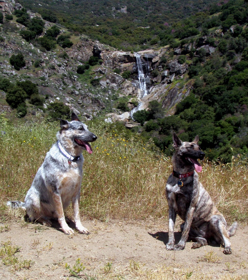 Calypso and Abella