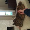How he usually waits for me. Always touching.