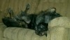 img20160501_230315.jpg