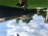 IMG_0118-resized.JPG
