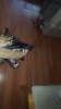 Grendel with tug smaller.jpg