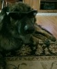 img20160831_220612.jpg