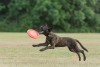 Betty League Play 7-11-16.jpg
