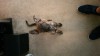 20161024_121028.jpg