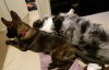 Most Recent Picture APPX 14 weeks