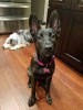 lola2.jpg