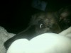 img20170211_221409.jpg
