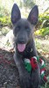 Patton February 12 2017.jpg
