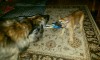 img20170218_220750.jpg