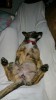 Delilah 4.jpg