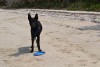 DSC_0210.JPG