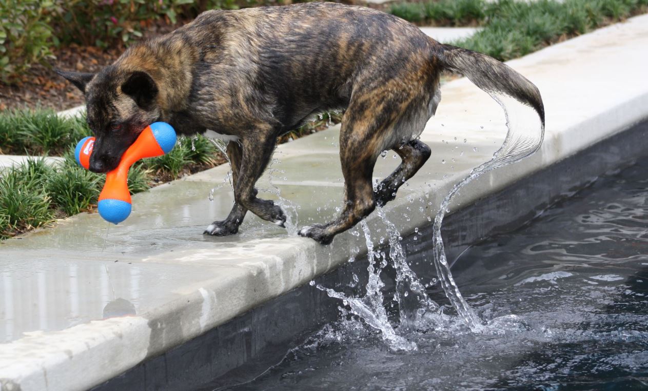 Swimming1.jpg