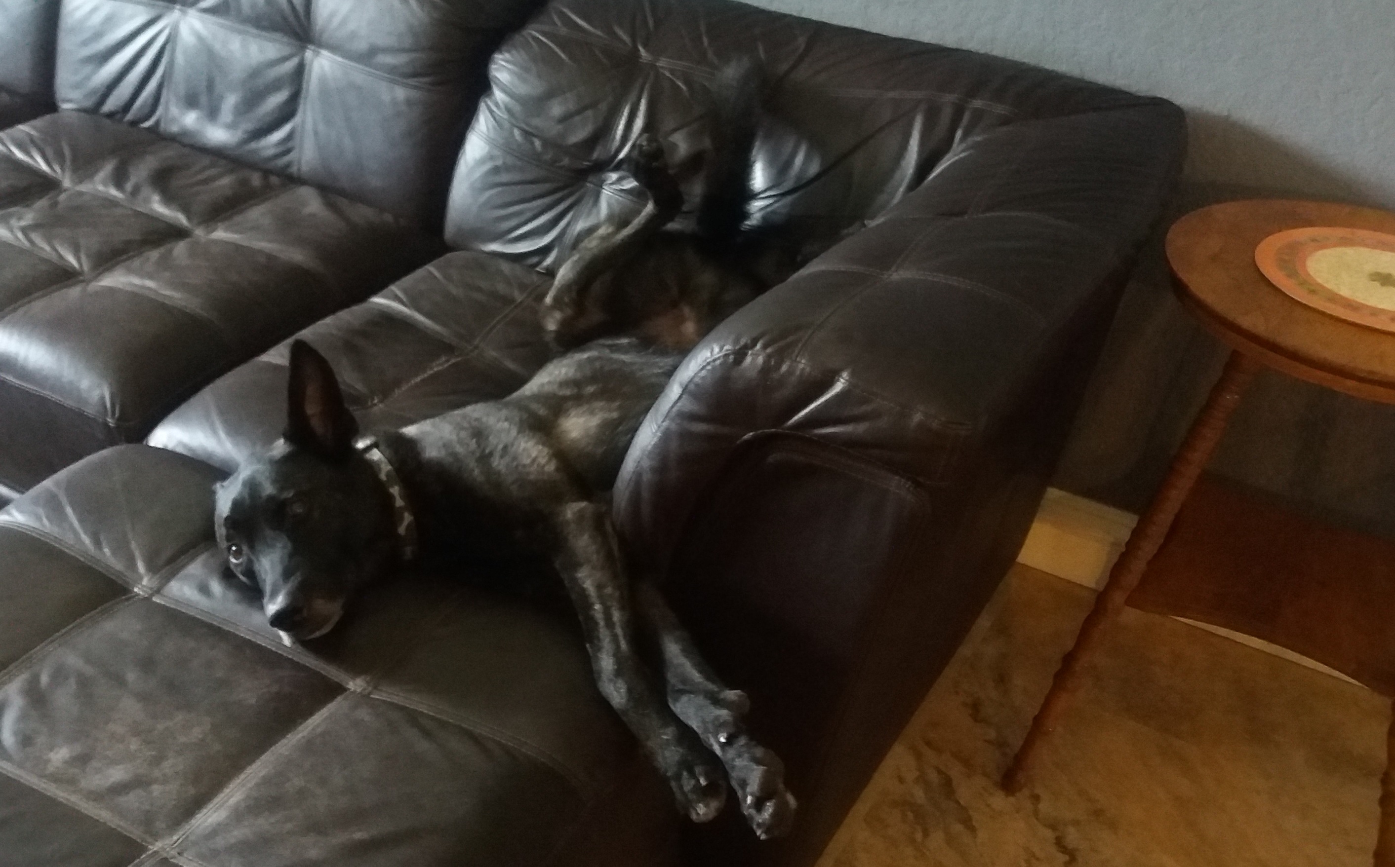 Relax.jpg