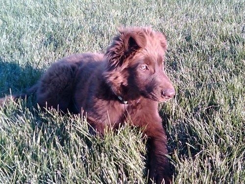 2011-10-29 17.23.42.jpg