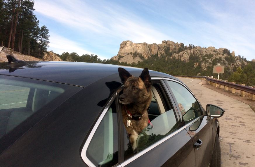 Rushmore 1.jpg