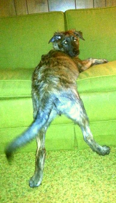img20170706_151530.jpg