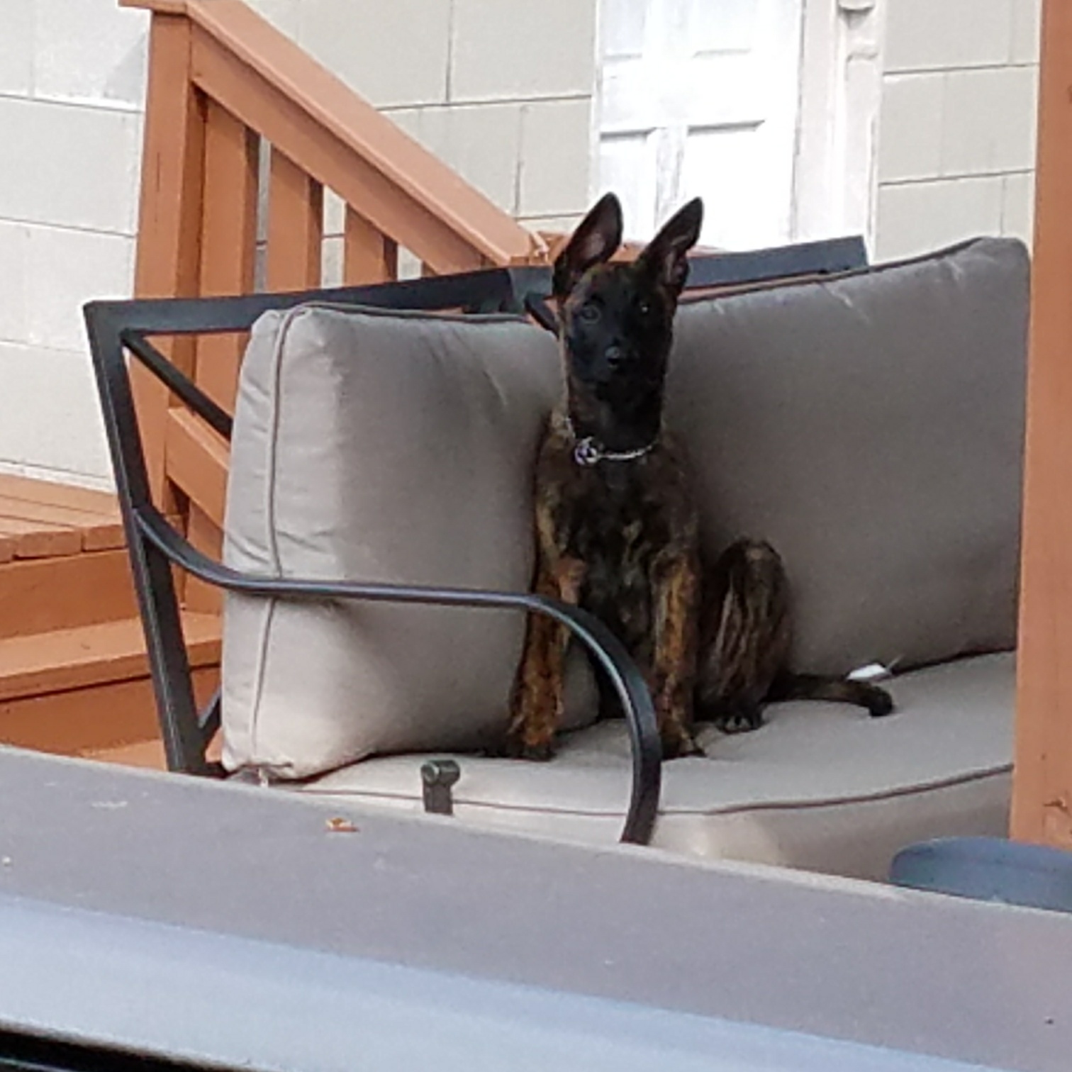 20170815_170322_resized.jpg