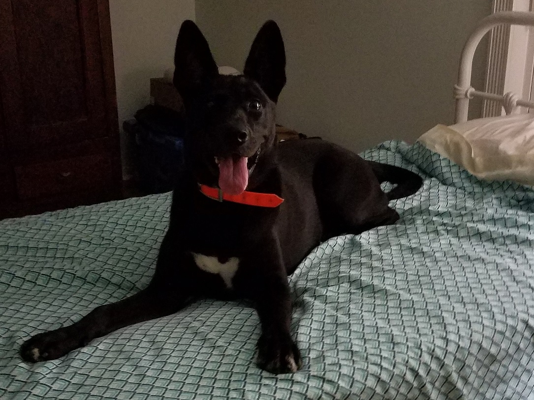 addie3.jpg