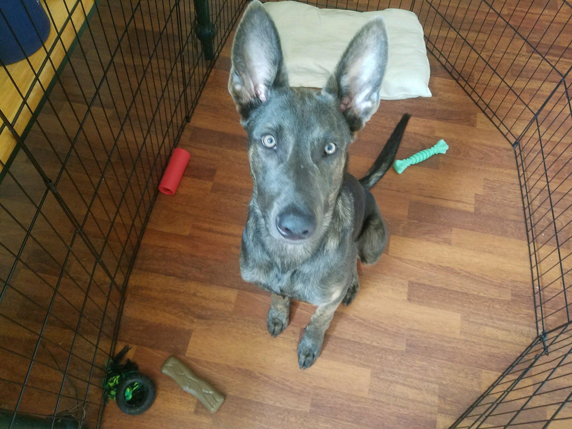 20170920_154255.jpg