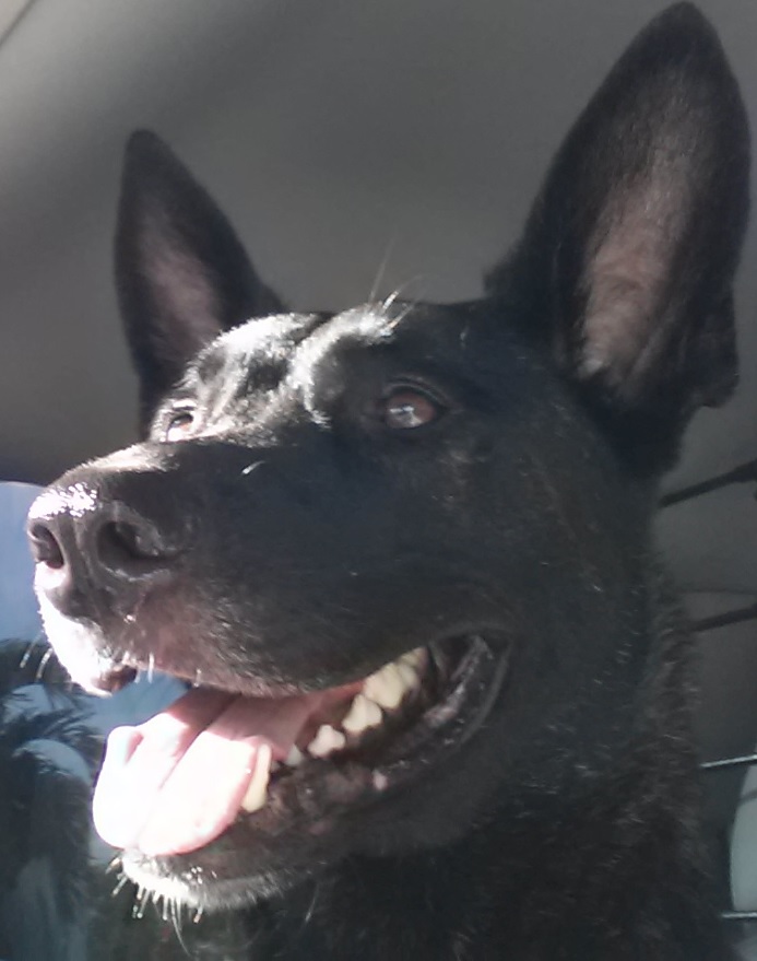 Snout.jpg