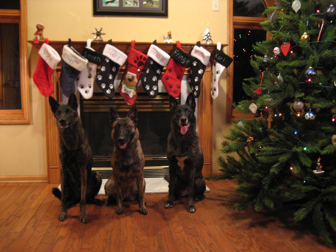 ChristmasDutchies.jpg