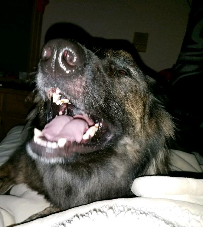 img20171011_222538.jpg