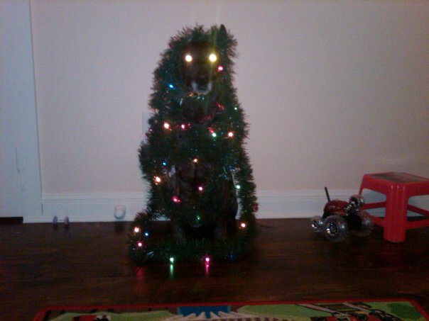 xmasThalie.jpg