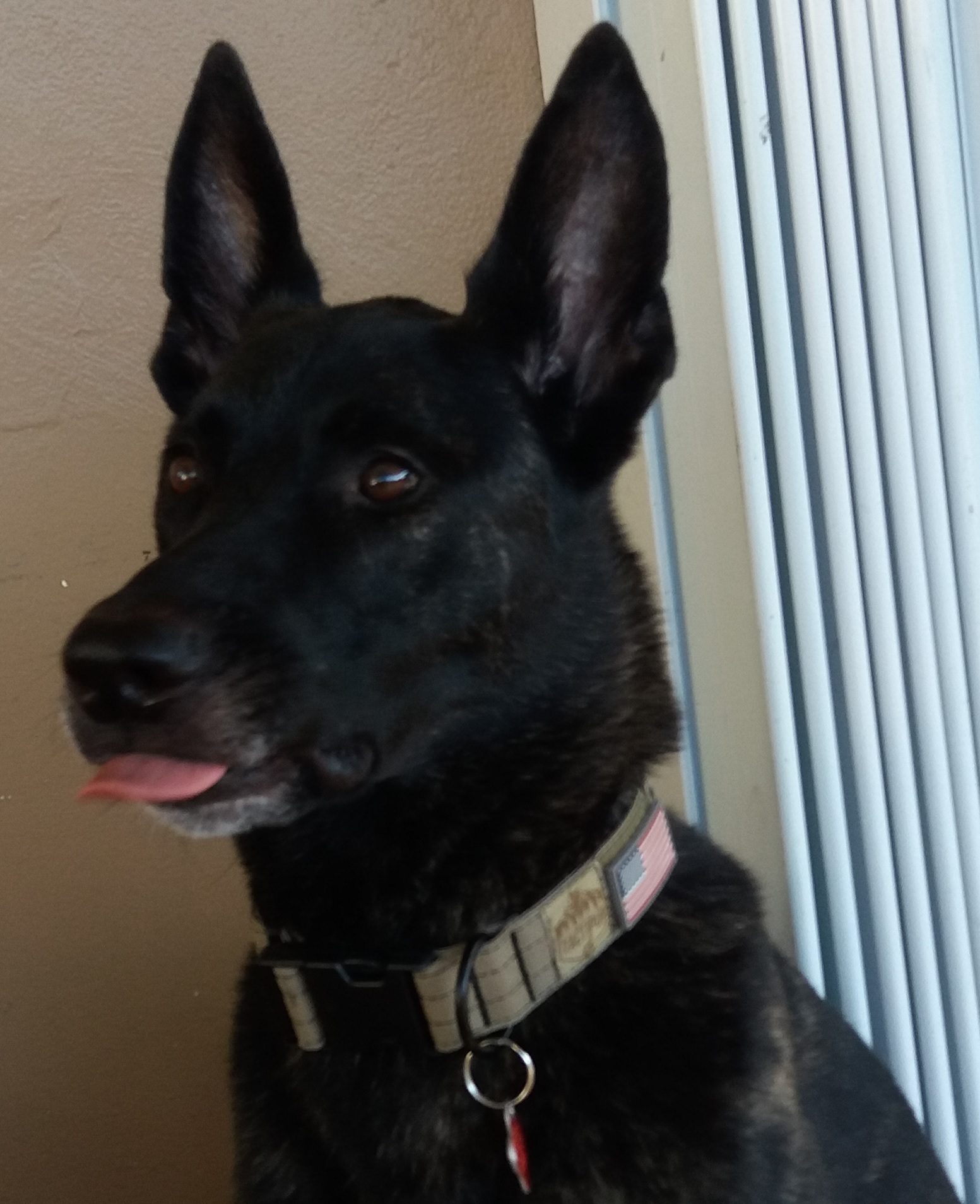 TongueOutTuesday.jpg