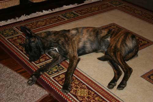 Finnaly, sleep