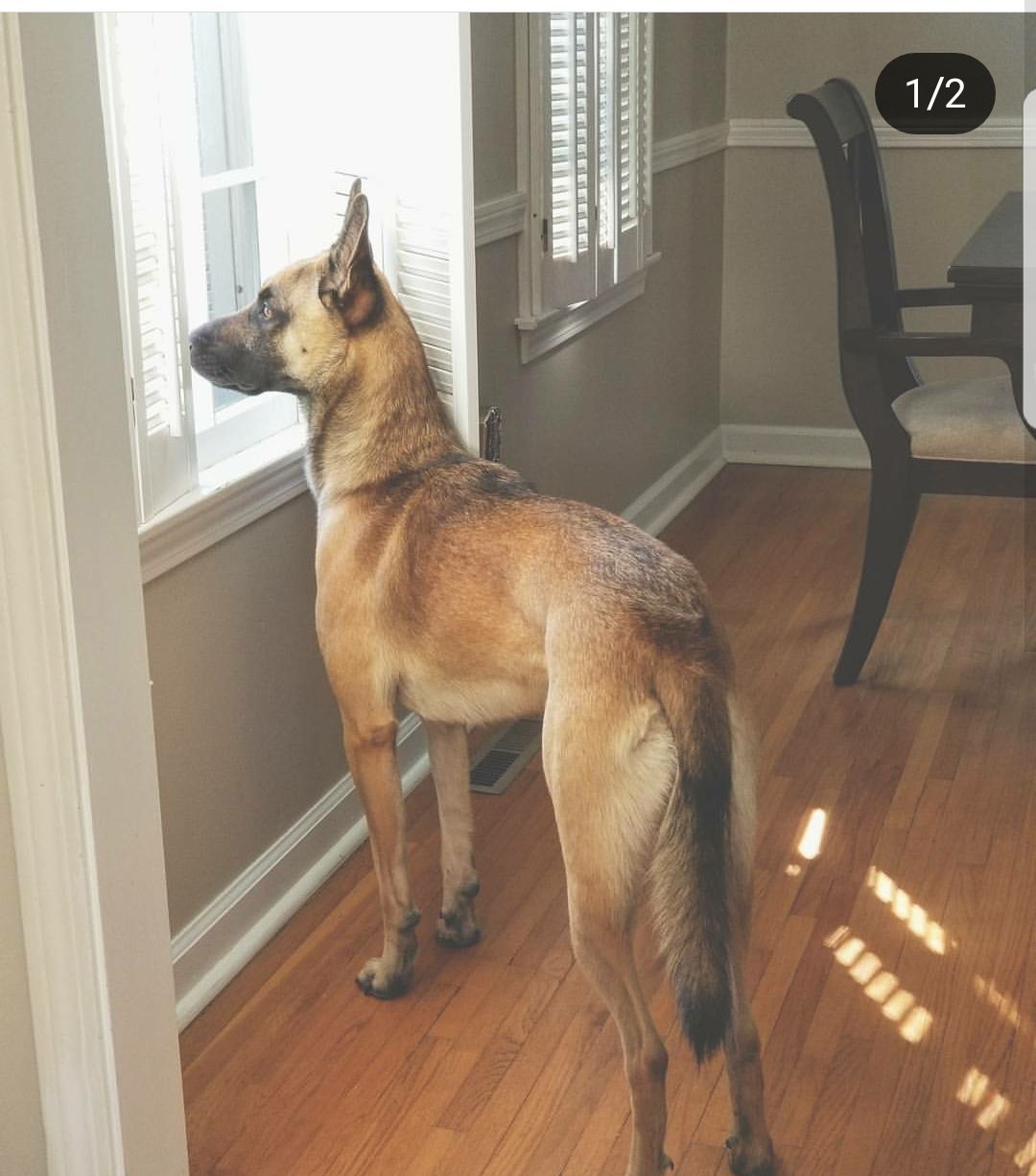 Resized_20171210_103802.jpeg