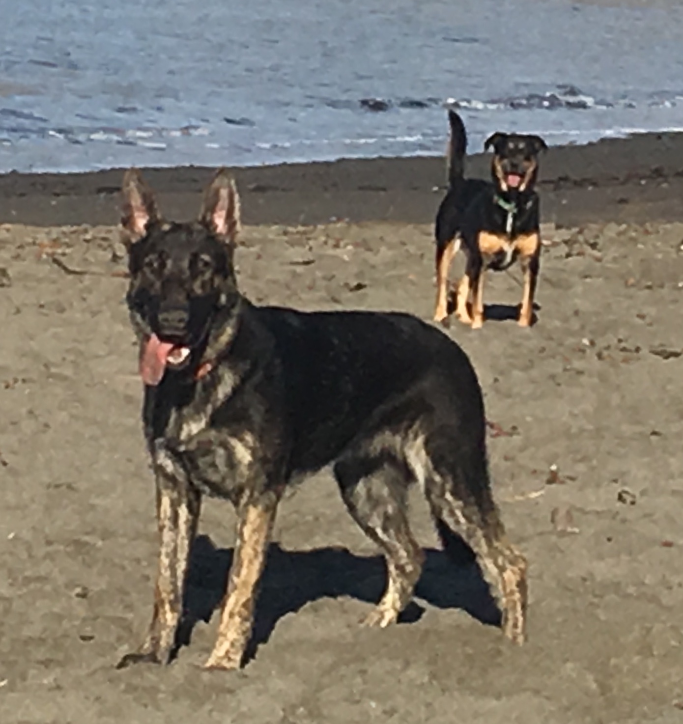 Tucker and his sister Mallory enjoying the beach