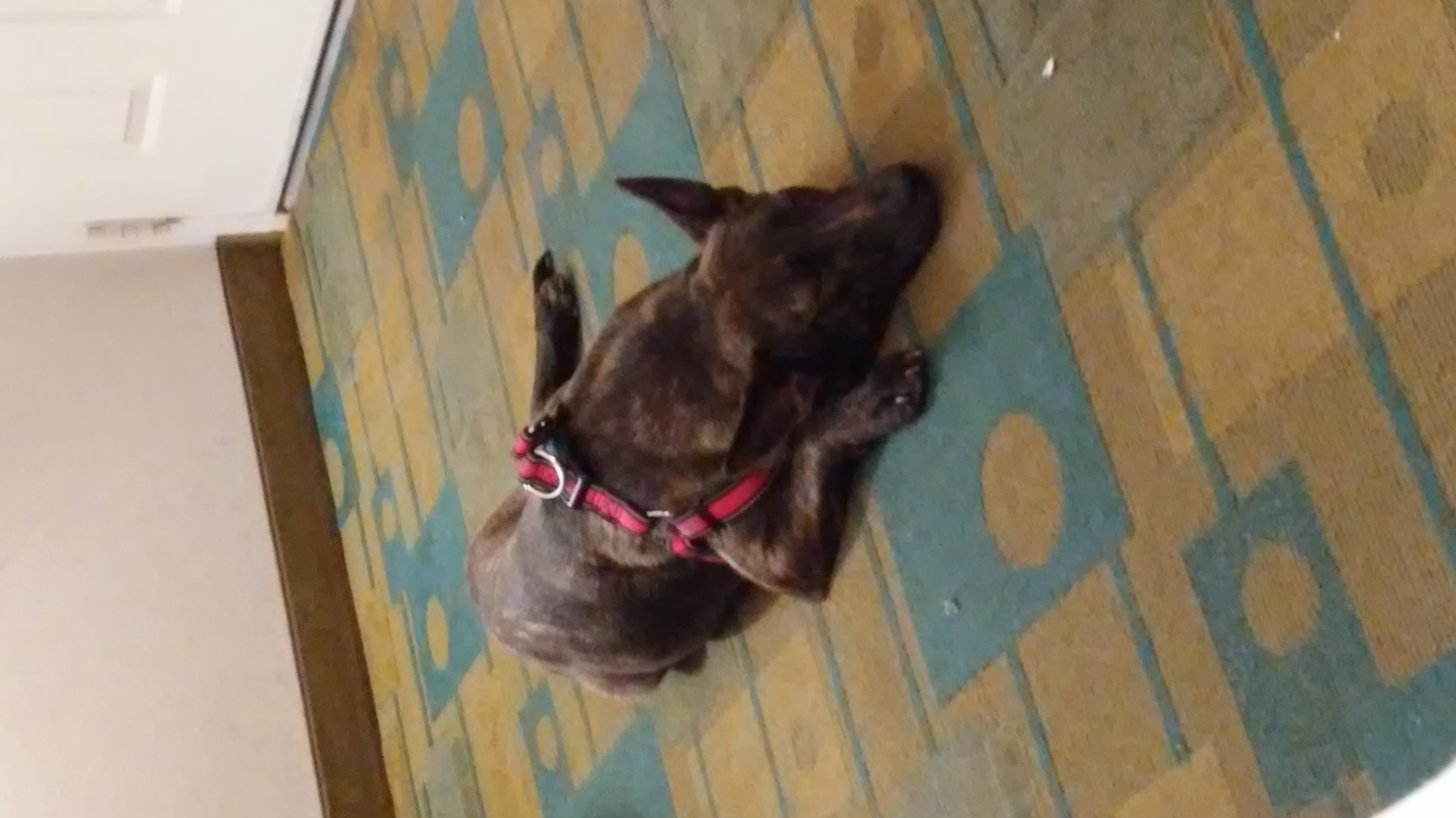 20180117_130344.jpg